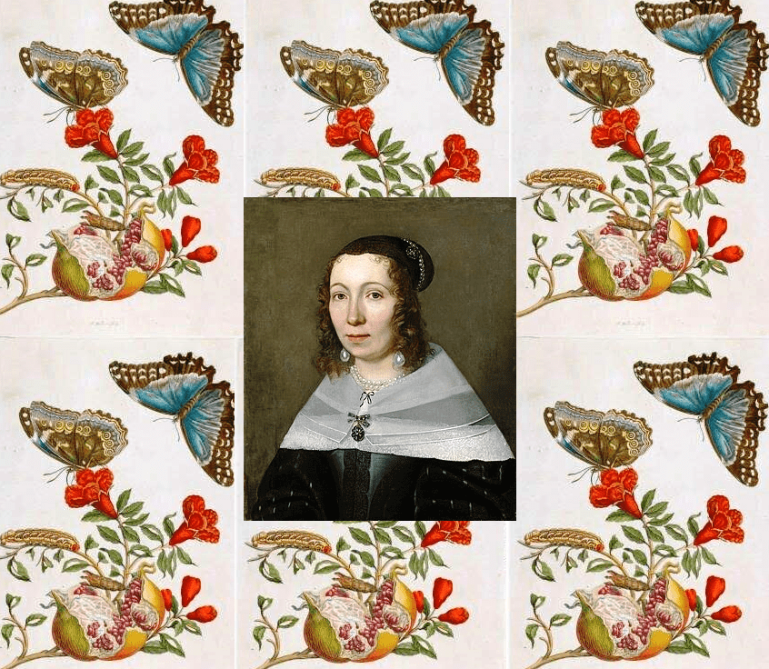 Η φυσιοδίφης Maria Sibylla Merian-Μια πρωτοπόρος γυναίκα του 17ου αιώνα
