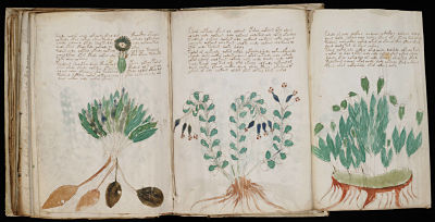 Tο μυστηριώδες χειρόγραφο Voynich  