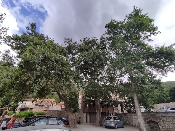 Ιερά Μονή Μακαριωτίσσης, Βοιωτία - Photo credit @Marlykon Ιερά Μονή Μακαριωτίσσης, Βοιωτία