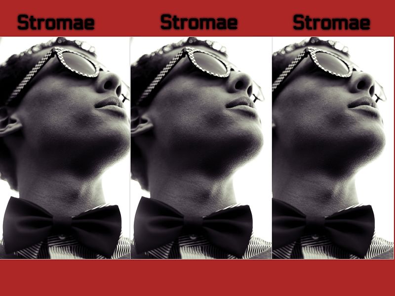 Stromae - Multitude