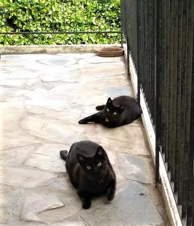 Φωτό : Μαριάννα Καραβασίλη