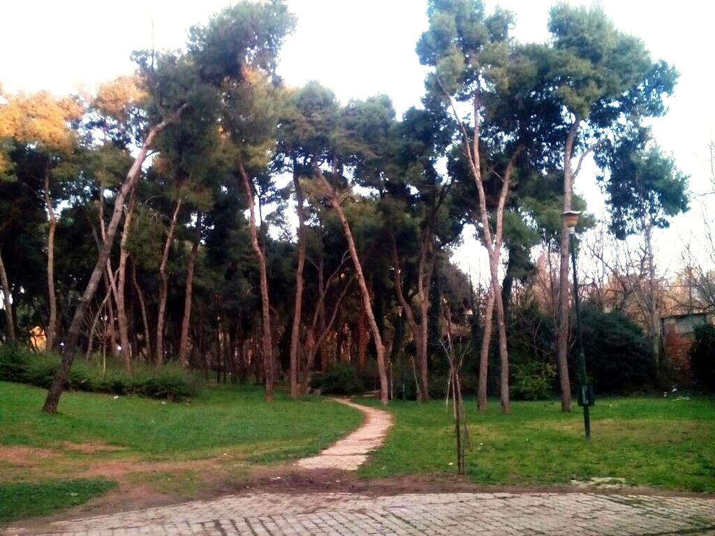 Άλσος Σχολής Χωροφυλακής, ένα αδικημένο άλσος