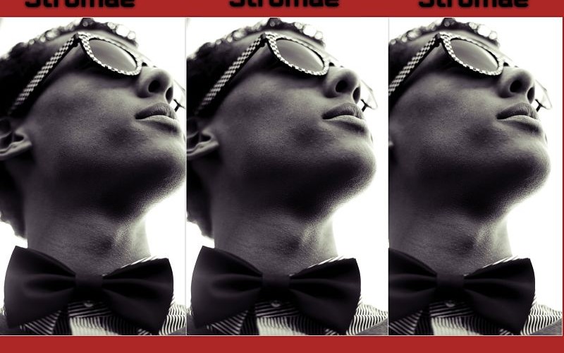 Stromae Stromae - Multitude