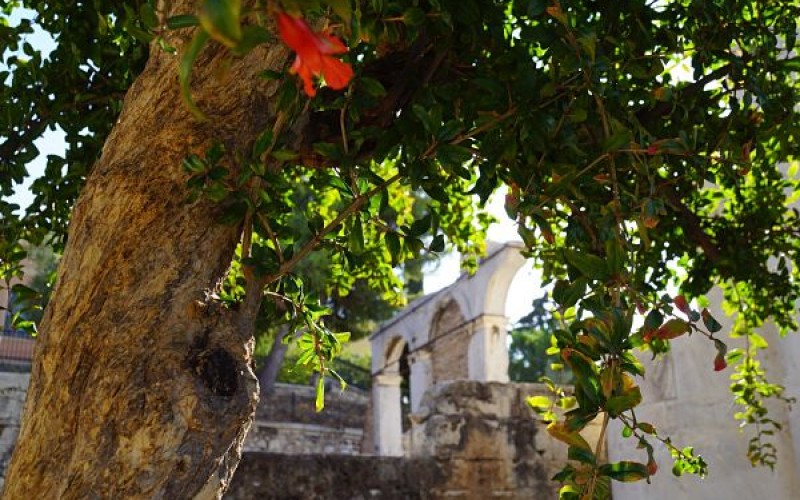 Photo by Auriane Clément on Unsplash Μικρέ μου Έλληνα
