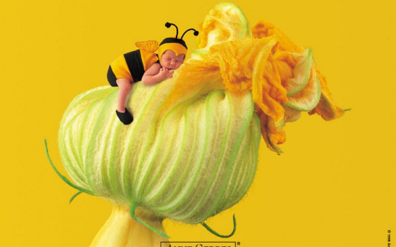 H φωτογράφος Anne Geddes… και τα μωρά της!