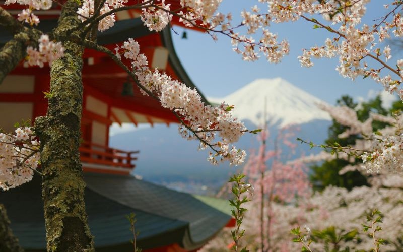 Japan (Photo by Rafael Hideki Tamanaha: https://www.pexels.com/photo/chureito-pagoda-with-cherry-blossoms-and-mount-fuji-31418358/) Αθάνατοι ποιητές ( Μέρος Δεύτερο)