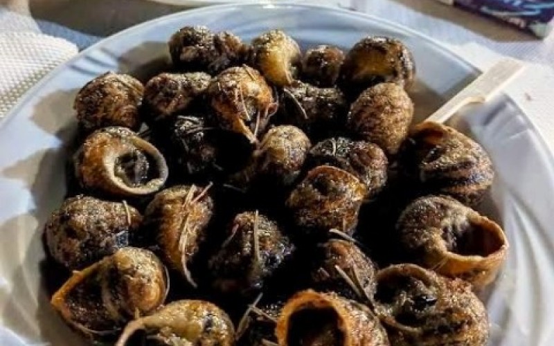 Χοχλιοί μπουμπουριστοί εκ Κρήτης ορμώμενοι!